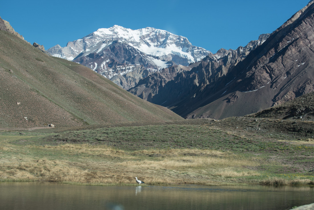 Se cobrará por los rescates en el Aconcagua