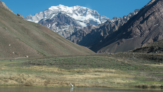 imagen Se cobrará por los rescates en el Aconcagua