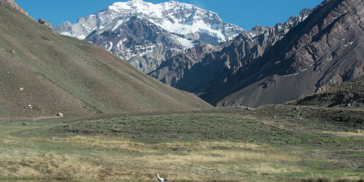 Se cobrará por los rescates en el Aconcagua