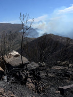 Cerro Arco: los focos de incendio están activos, pero controlados