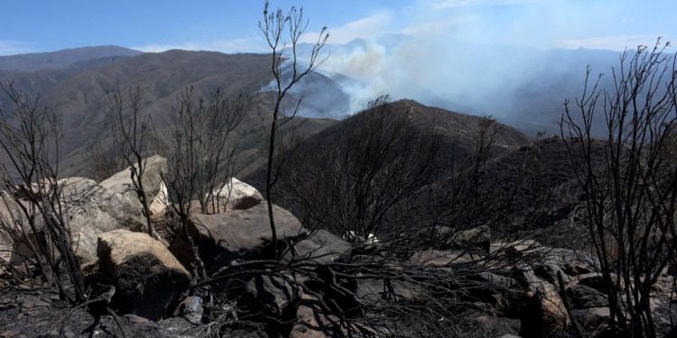 Cerro Arco: los focos de incendio están activos, pero controlados