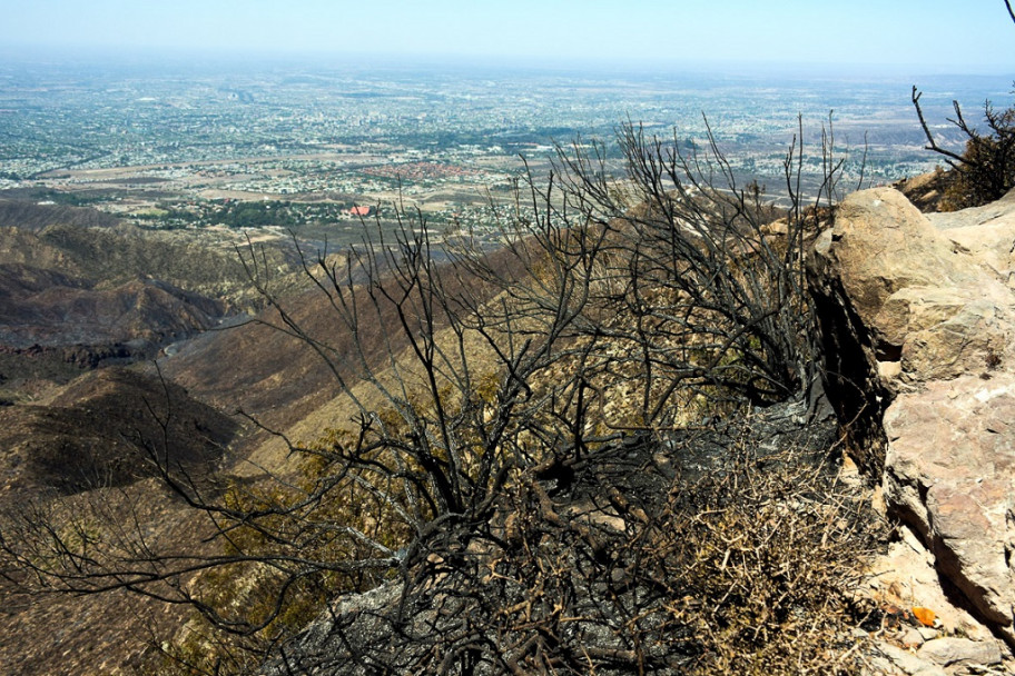 imagen Fotogalería: así quedó el Cerro Arco tras el incendio