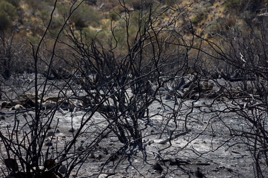 imagen Fotogalería: así quedó el Cerro Arco tras el incendio