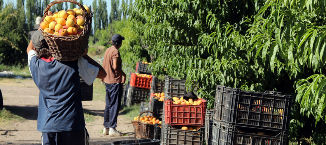 Del G20 para Mendoza: mejoras en logística y otro impulso para el comercio con China