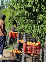 Del G20 para Mendoza: mejoras en logística y otro impulso para el comercio con China