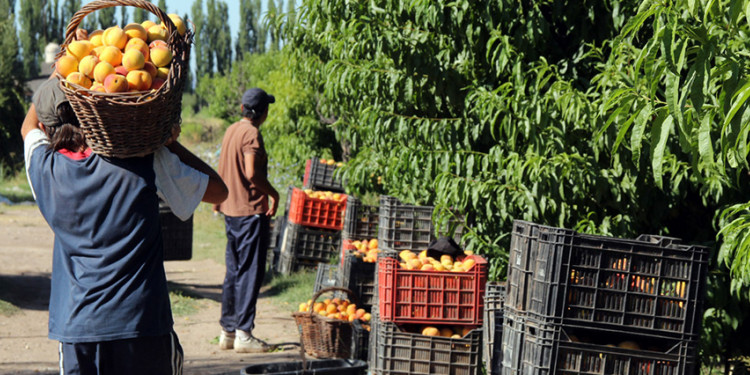 Del G20 para Mendoza: mejoras en logística y otro impulso para el comercio con China