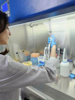 Avanza el test nacional para la detección del hongo que afecta a personas inmunosuprimidas