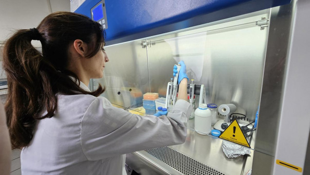 imagen Avanza el test nacional para la detección del hongo que afecta a personas inmunosuprimidas