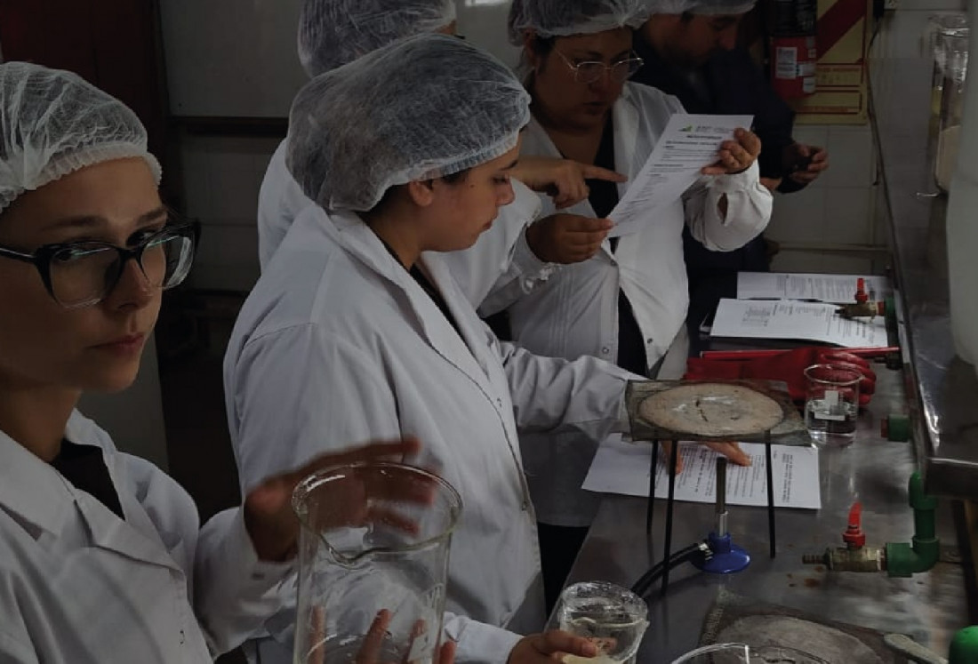 ¿Hay mujeres en las ciencias duras? La Cátedra Matilda desafía la invisibilización de las ingenieras