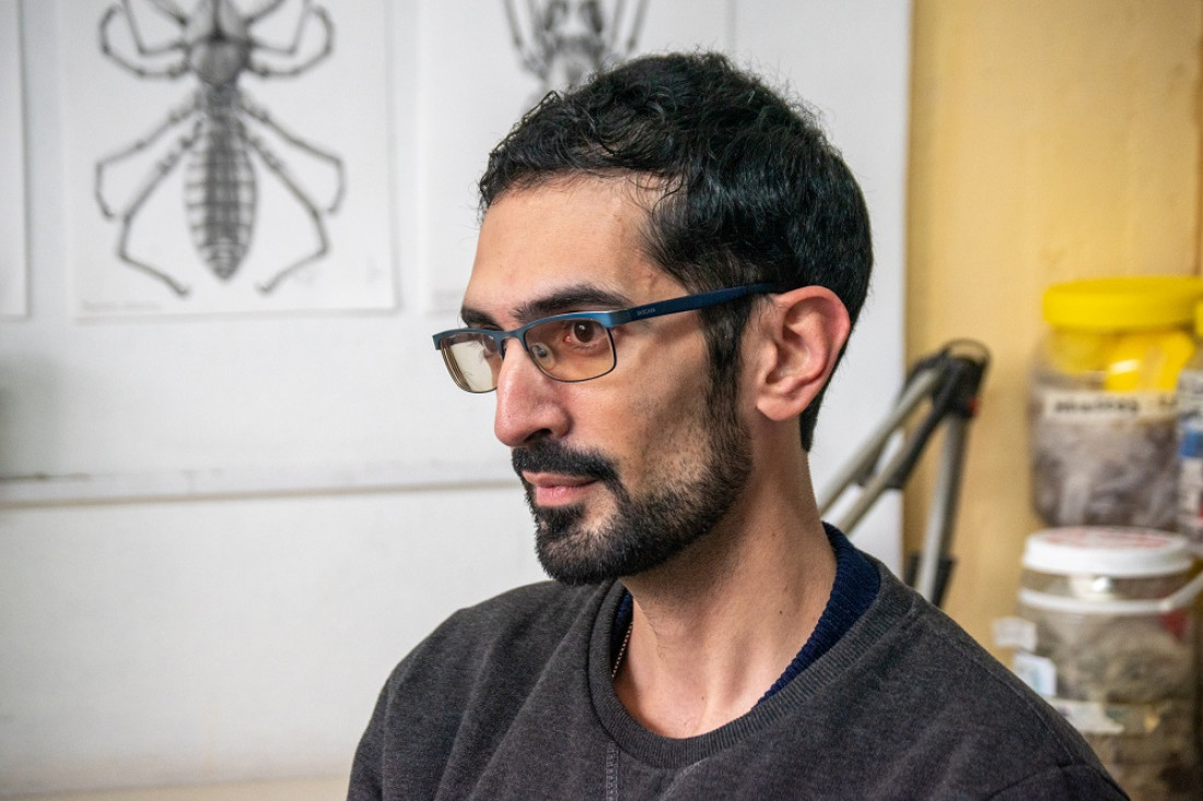 Ilustración científica: "La IA no va a reemplazar ni el talento ni el criterio humano" 