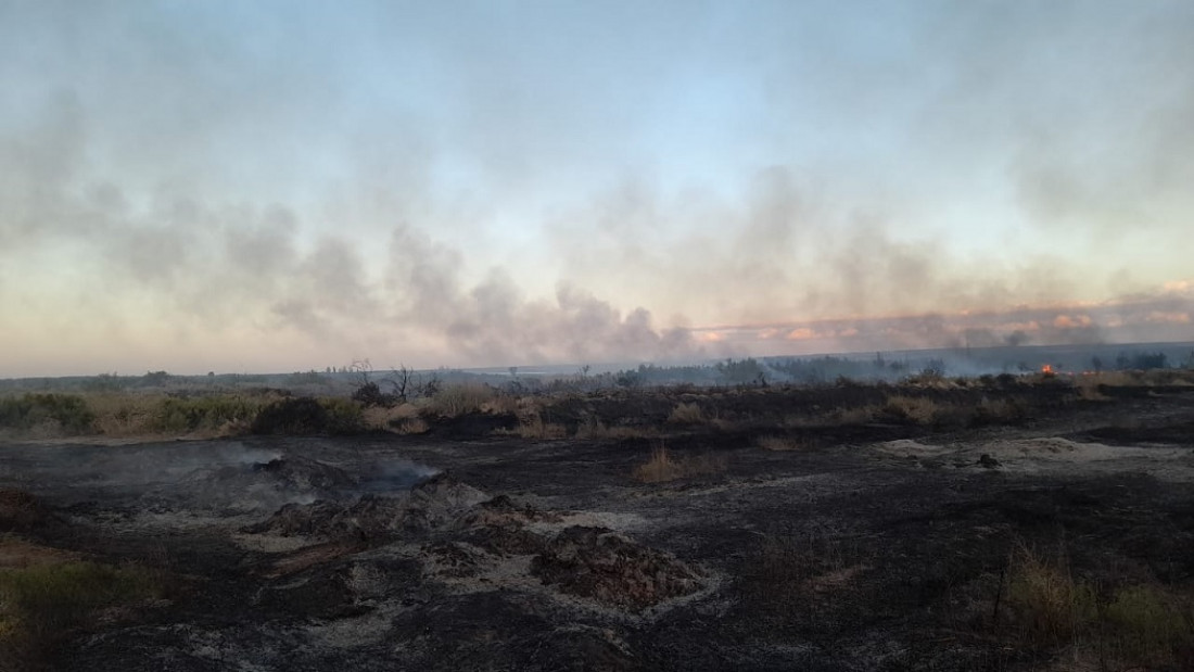 Incendios durante el zonda: "Debemos trabajar en las consecuencias de la pérdida de la flora"