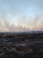Incendios durante el zonda: "Debemos trabajar en las consecuencias de la pérdida de la flora"