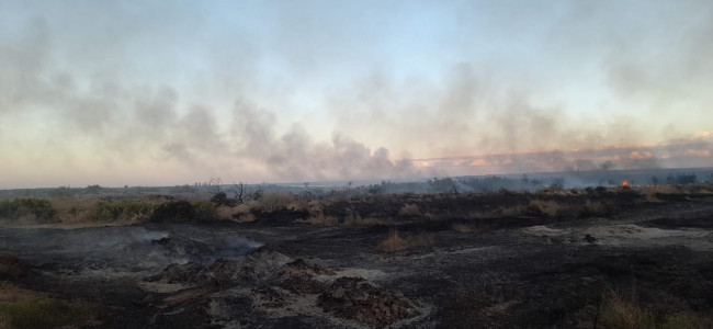 Incendios durante el zonda: "Debemos trabajar en las consecuencias de la pérdida de la flora"
