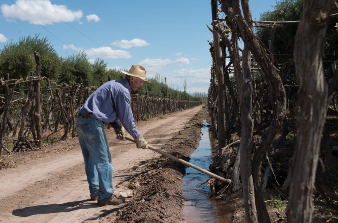 ¿Qué factores determinan el precio de una finca cultivada en la cuenca del río Mendoza?