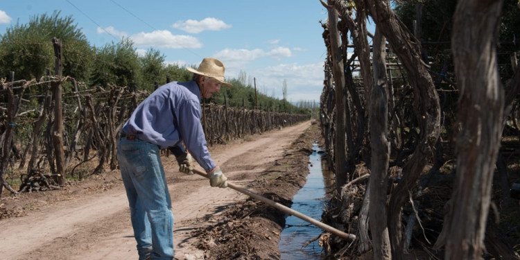 ¿Qué factores determinan el precio de una finca cultivada en la cuenca del río Mendoza?