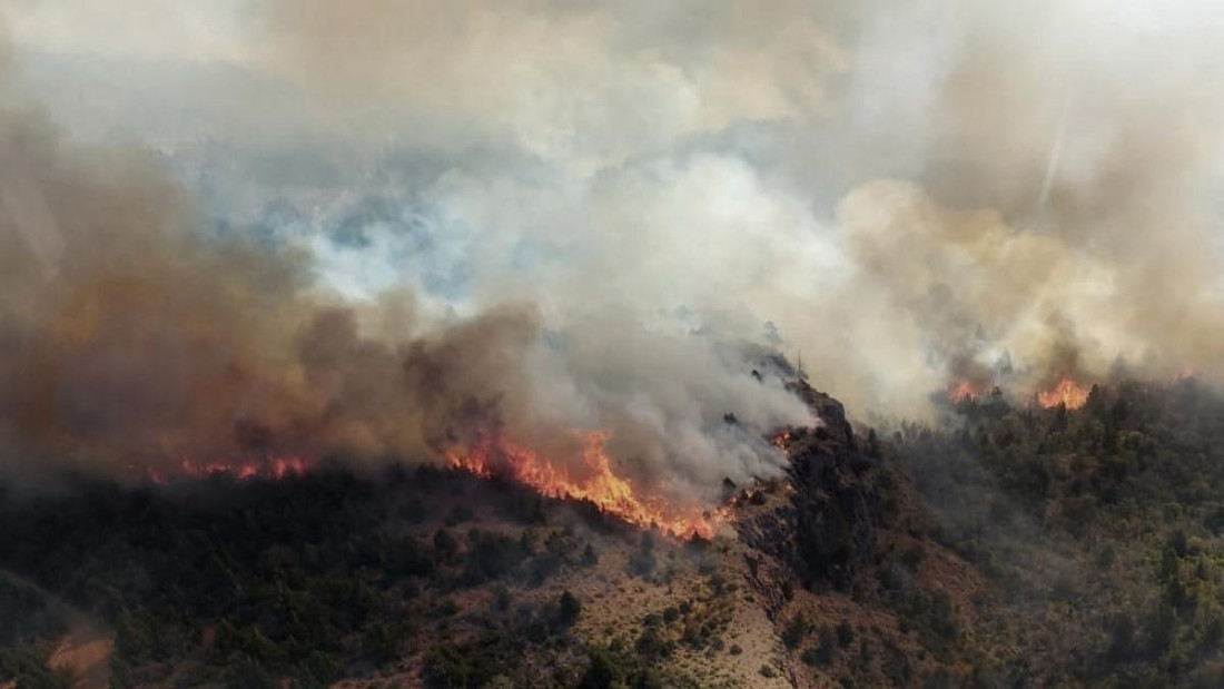 Los incendios forestales aumentaron las emisiones de gases en Argentina