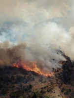 Los incendios forestales aumentaron las emisiones de gases en Argentina