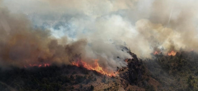 Los incendios forestales aumentaron las emisiones de gases en Argentina