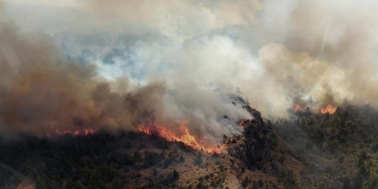 Los incendios forestales aumentaron las emisiones de gases en Argentina