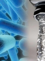Legionella, la bacteria que obliga a controlar los sistemas de climatización y el agua en hospitales
