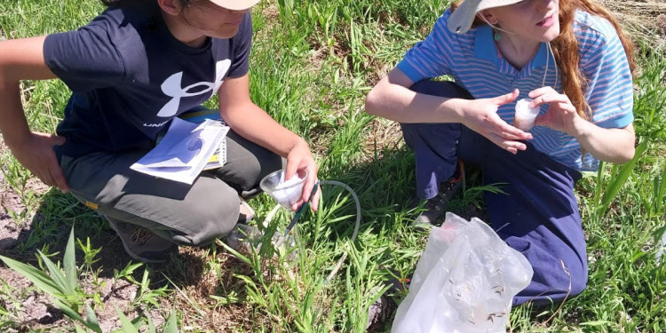 Proyecto Mauricio López "Rediseñar para transformar. La biodiversidad como herramienta de autonomía campesina." Entrevista a Lucia Agostinelli y Martina Burgos, estudiantes de agronomía de la UNCuyo.
