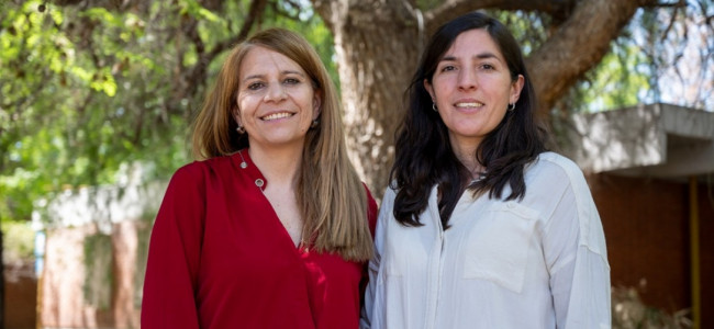 El diseño urbano, un aliado contra el calor extremo: "Cada sombra y cada material cuentan"