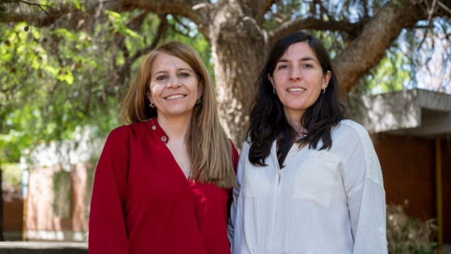 imagen El diseño urbano, un aliado contra el calor extremo: "Cada sombra y cada material cuentan"
