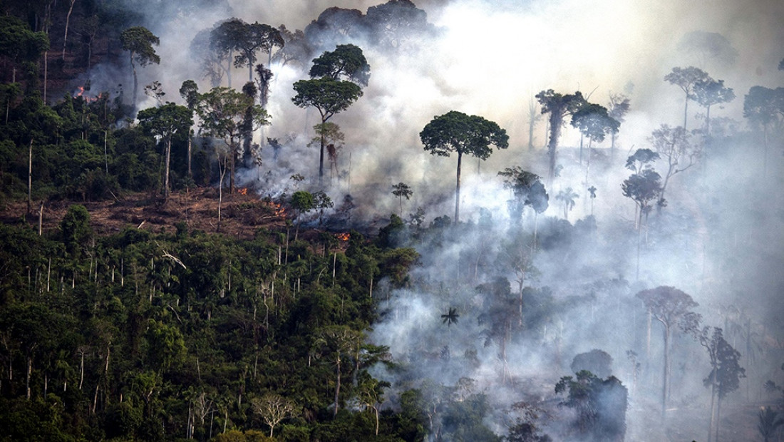 Los incendios en el Amazonas generaron récord de emisiones de gases en Sudamérica