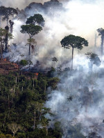 Los incendios en el Amazonas generaron récord de emisiones de gases en Sudamérica