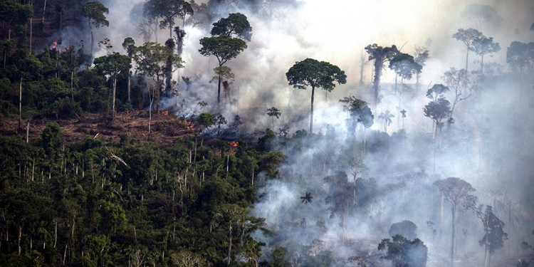 Los incendios en el Amazonas generaron récord de emisiones de gases en Sudamérica