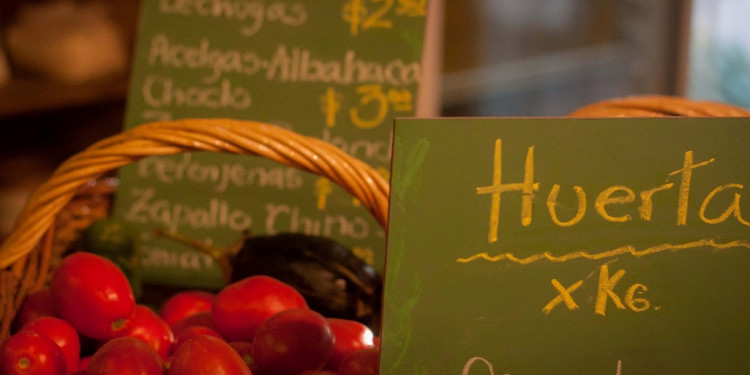Por qué es un gran negocio comer alimentos ecológicos
