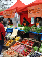Columna de Economía Social en LA POSTA