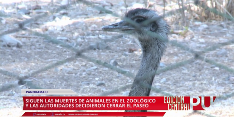 Cerrará el Zoológico de Mendoza