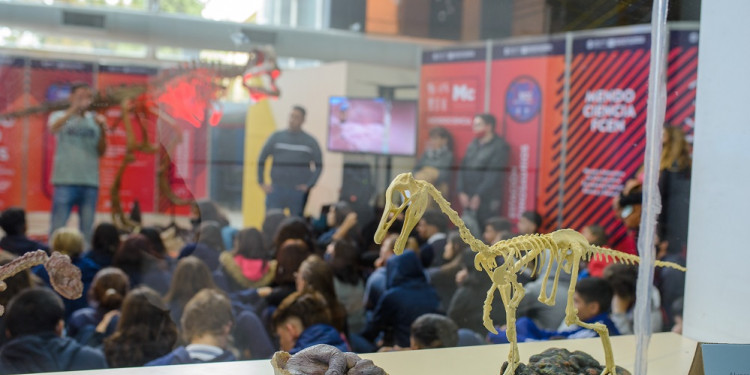 Universidad pública y ciencia: una dupla que siempre está sujeta a las encrucijadas de la Argentina