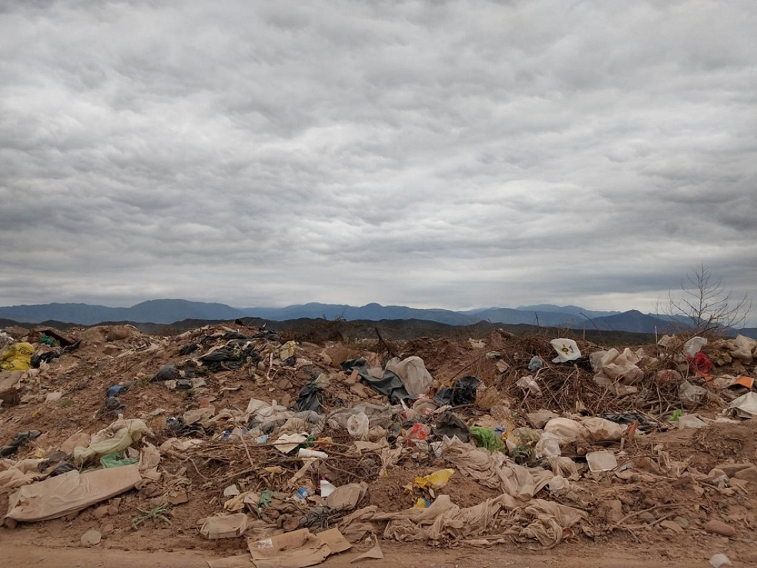 Así es el plan para reforestar El Pozo