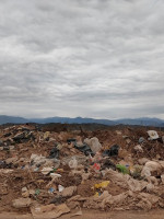 Así es el plan para reforestar El Pozo