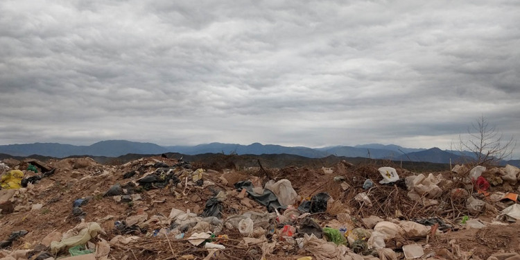 Así es el plan para reforestar El Pozo