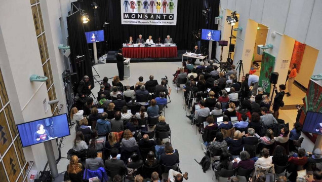 imagen Qué dijo el único argentino en exponer ante el Tribunal Monsanto