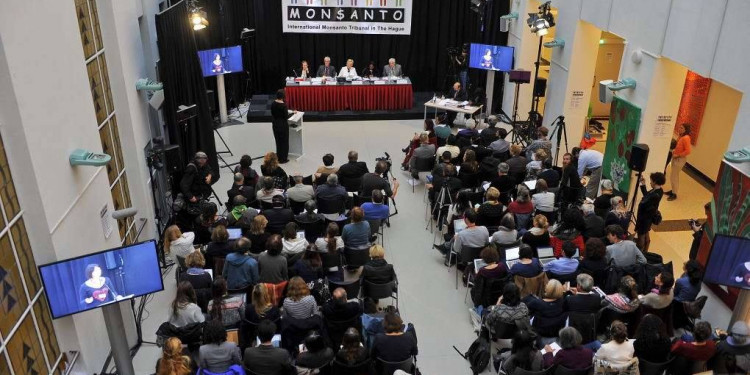 Qué dijo el único argentino en exponer ante el Tribunal Monsanto