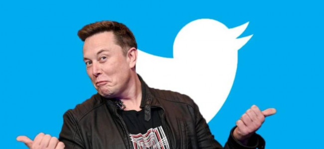 Elon Musk, la "libertad de expresión absoluta" y el terreno de "toxicidad" de Twitter