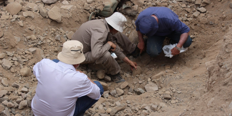 Arqueología de la Memoria