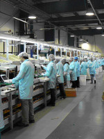 EMPLEO: LAS CONTRATACIONES PERMANECERÁN MODERADAS PARA EL TERCER TRIMESTRE