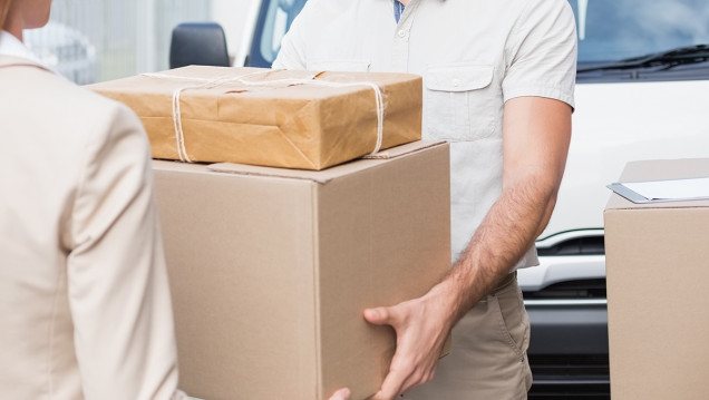 imagen Casi un millón de argentinos ya usaron el "puerta a puerta" para comprar en el exterior