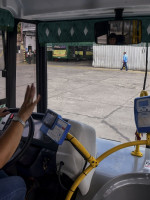 Ahora, las empresas de transporte deberán tener mujeres al volante