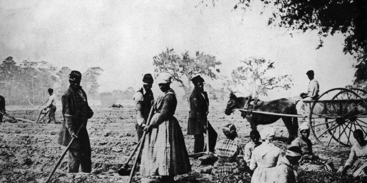Mendoza negra