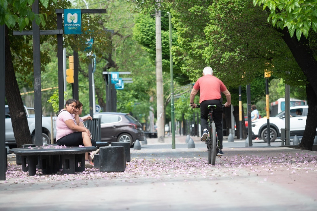 La Ciudad de Mendoza es una de las jurisdicciones con mayor predominio femenino del país