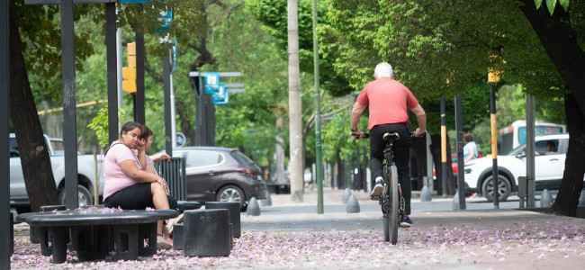 La Ciudad de Mendoza es una de las jurisdicciones con mayor predominio femenino del país