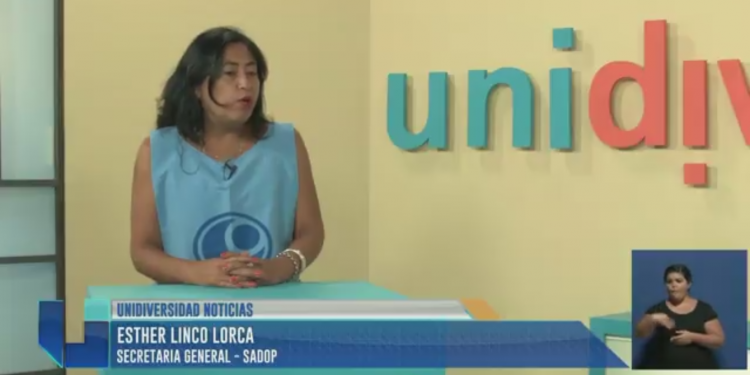 "El docente mendocino está condicionado por el ítem aula"