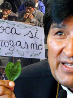 La mama coca: alimento, medicina y resistencia cultural 