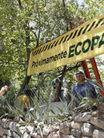 Entregan en adopción los primeros animales del ex zoológico